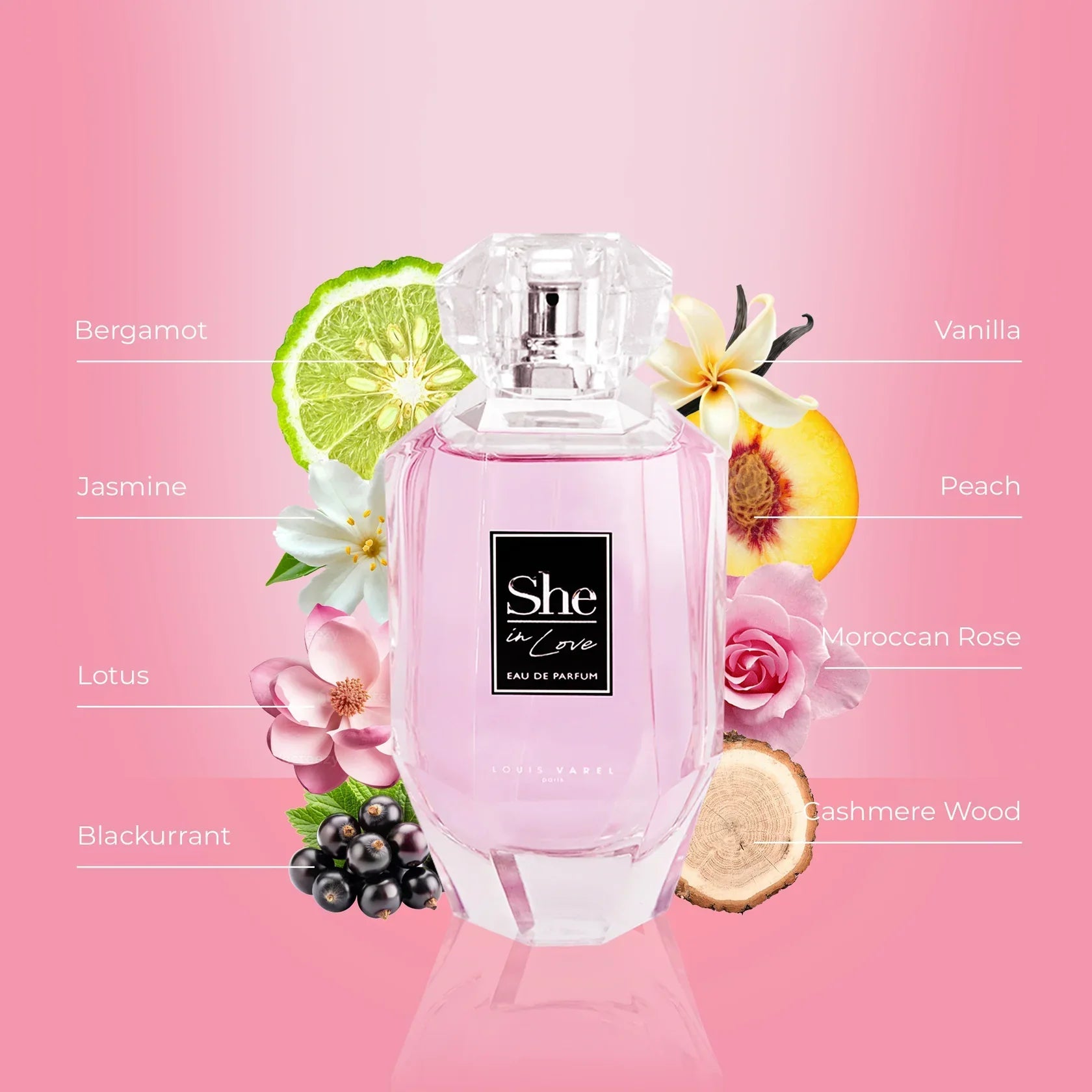 Louis Varel She In Love EDP 100ml For Women