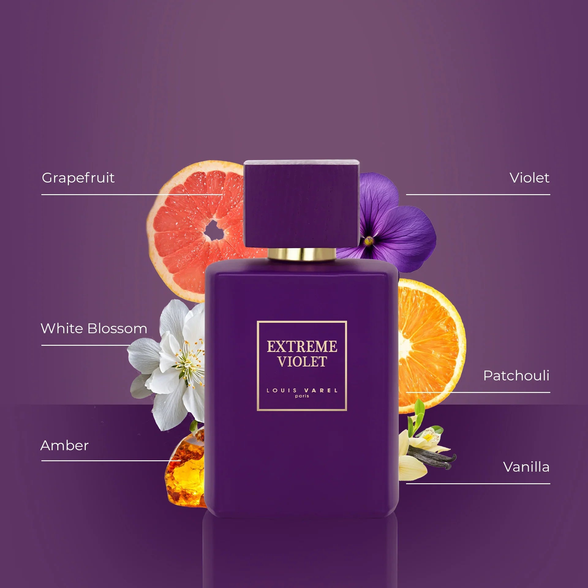Louis Varel Extreme Violet EDP 100ml Unisex