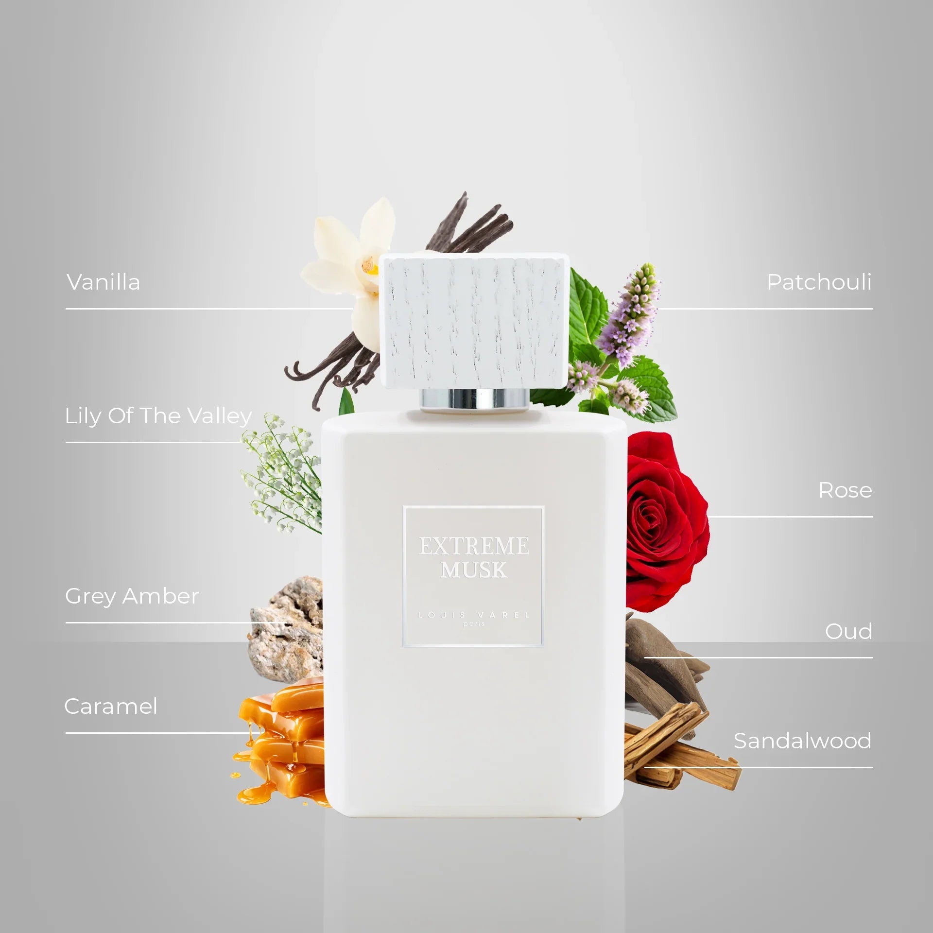 Louis Varel Extreme Musk EDP 100ml Unisex