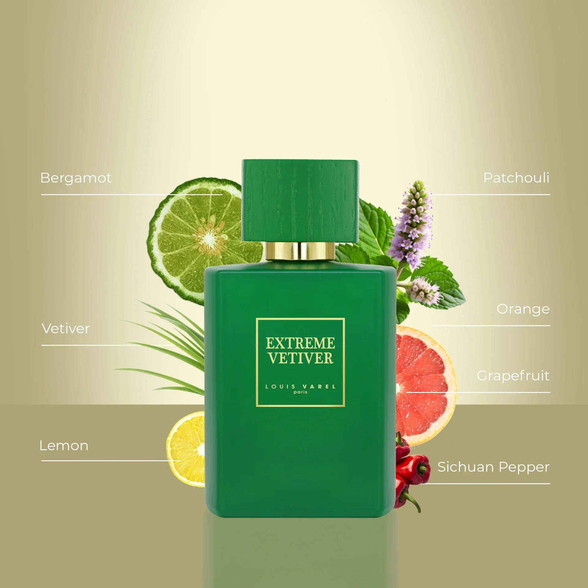 Louis Varel Extreme Vetiver EDP 100ml Unisex