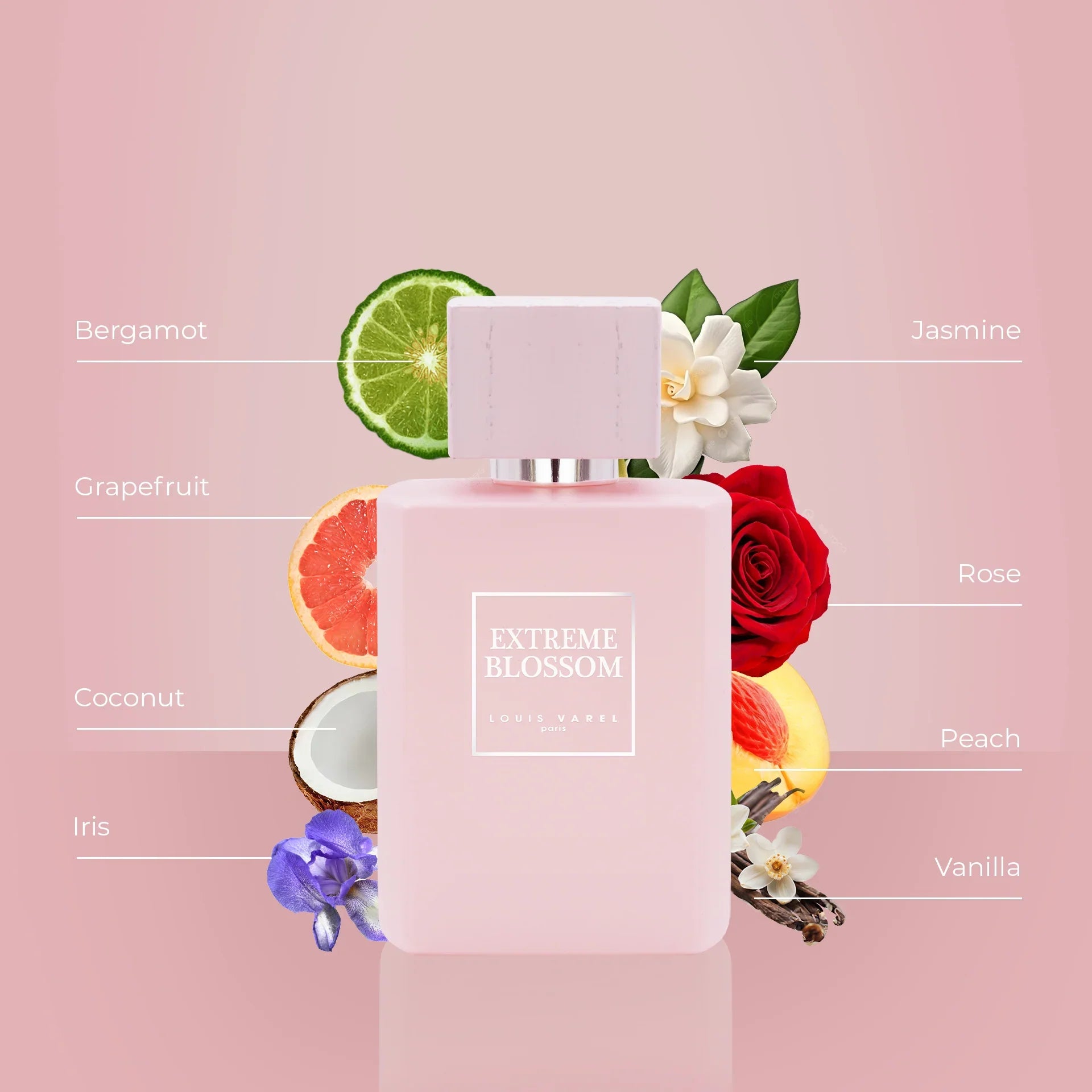 Louis Varel Extreme Blossom EDP 100ml For Women