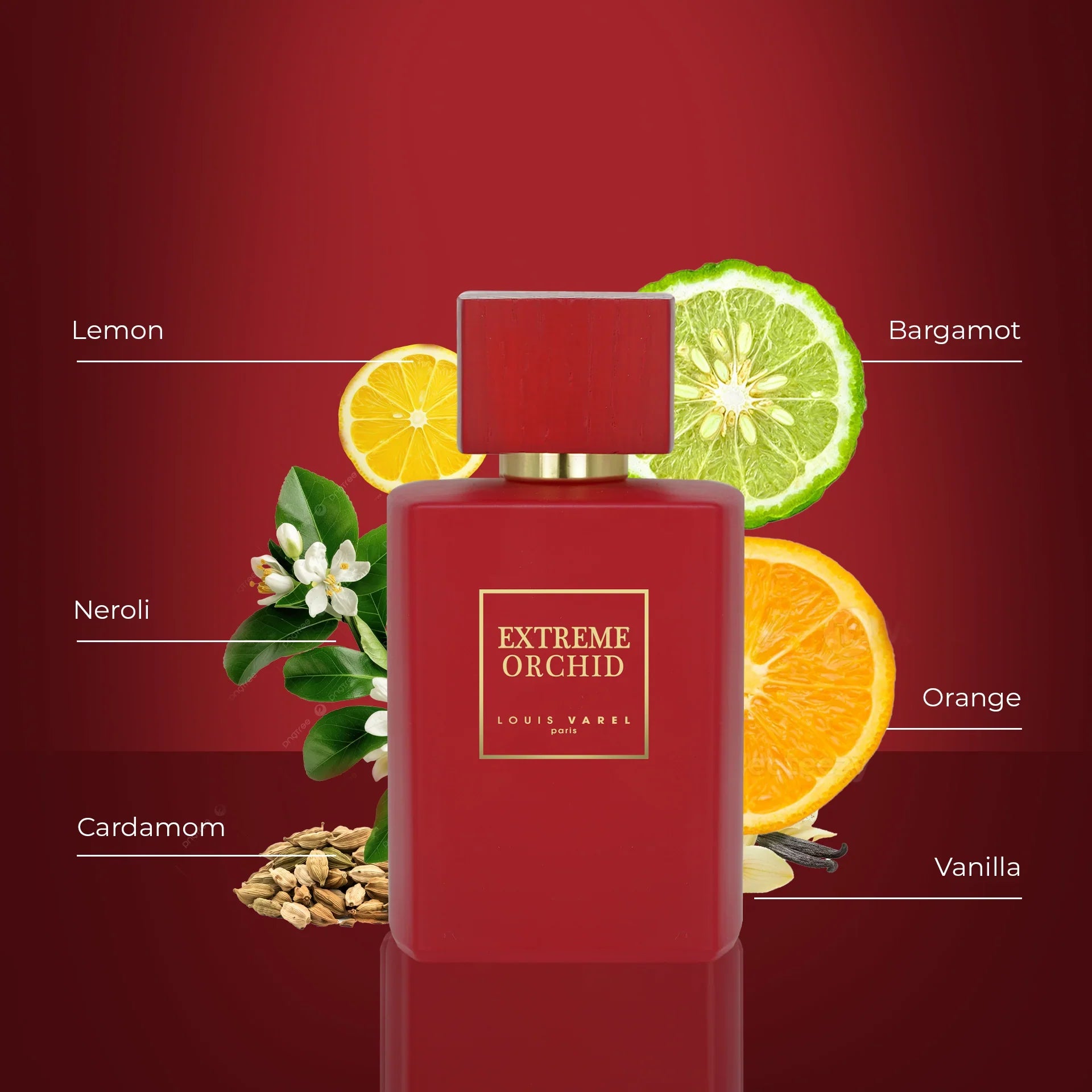 Louis Varel Extreme Orchid EDP 100ml Unisex